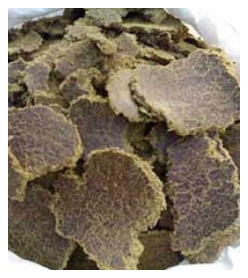 Cotton Seed Oil cake
