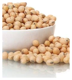 Soyabean